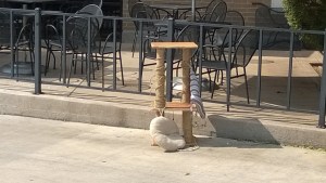 The cat tree, looking worse for wear