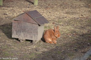 A nasty shit-producing machine.