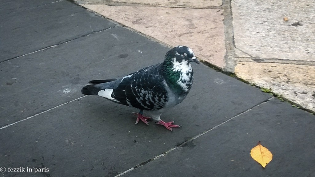 he could use a pimp cane, though