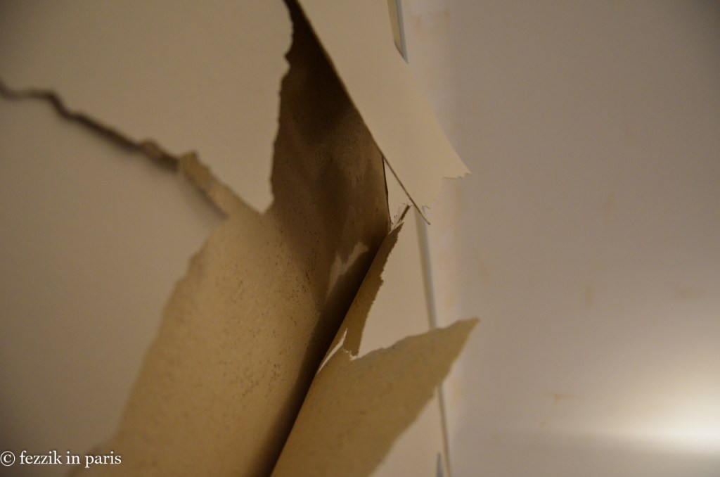 fezzikinparis-20160109-DSC_5835