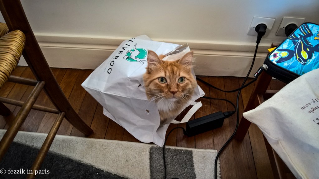 Incorrect order; send that thing back.