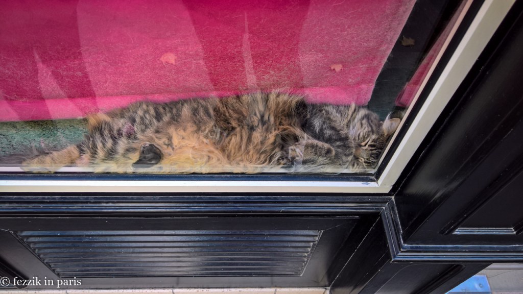 He certainly is comfortable.